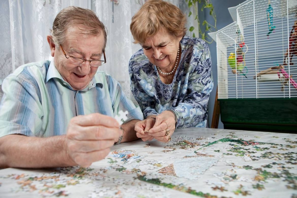 Puzzles 3D pour senior