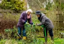 Le jardinage, un remède bien-être pour les seniors