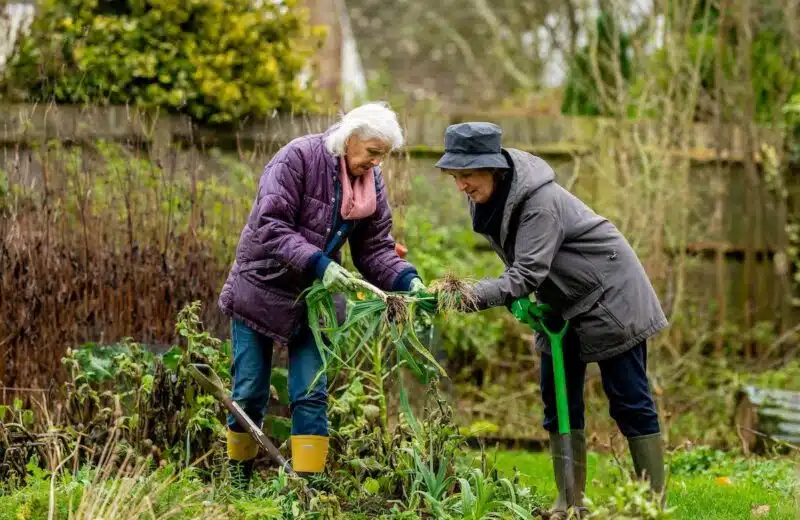 Le jardinage, un remède bien-être pour les seniors