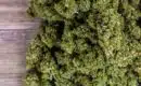 Qu’est ce que le VMAC ? Un cannabinoïde universel ?
