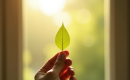 Pensée du jour : Quelle inspiration pour aujourd’hui ?